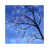 Tree in bloom  (Print Only) thumbnail