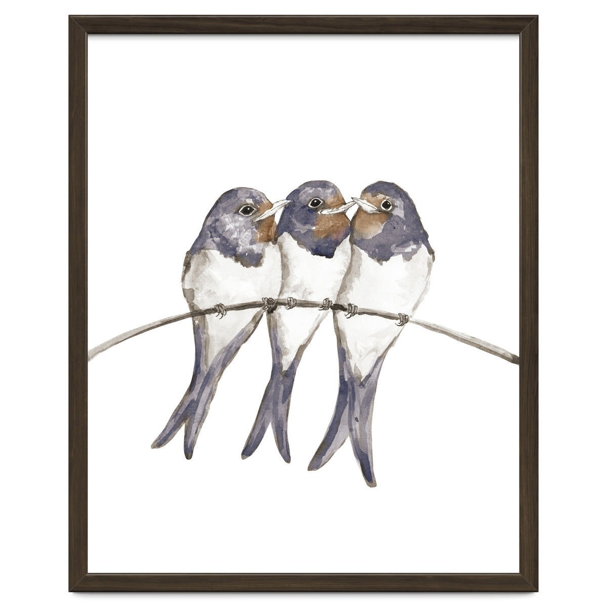 Three young swallows