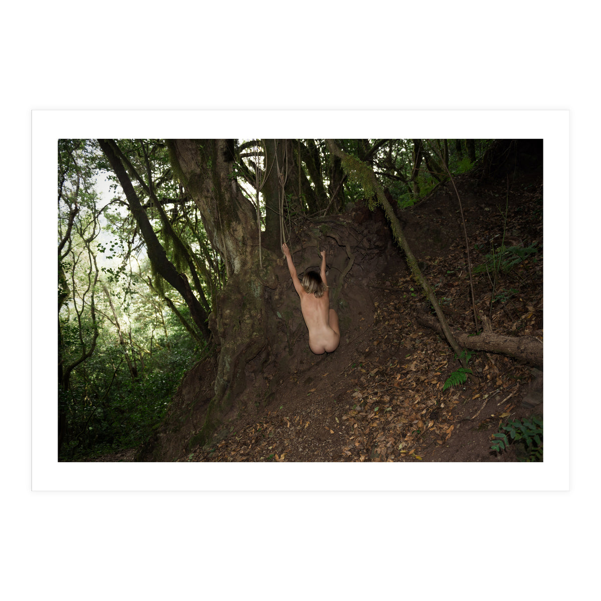 The kids Are all Wild (Print Only)