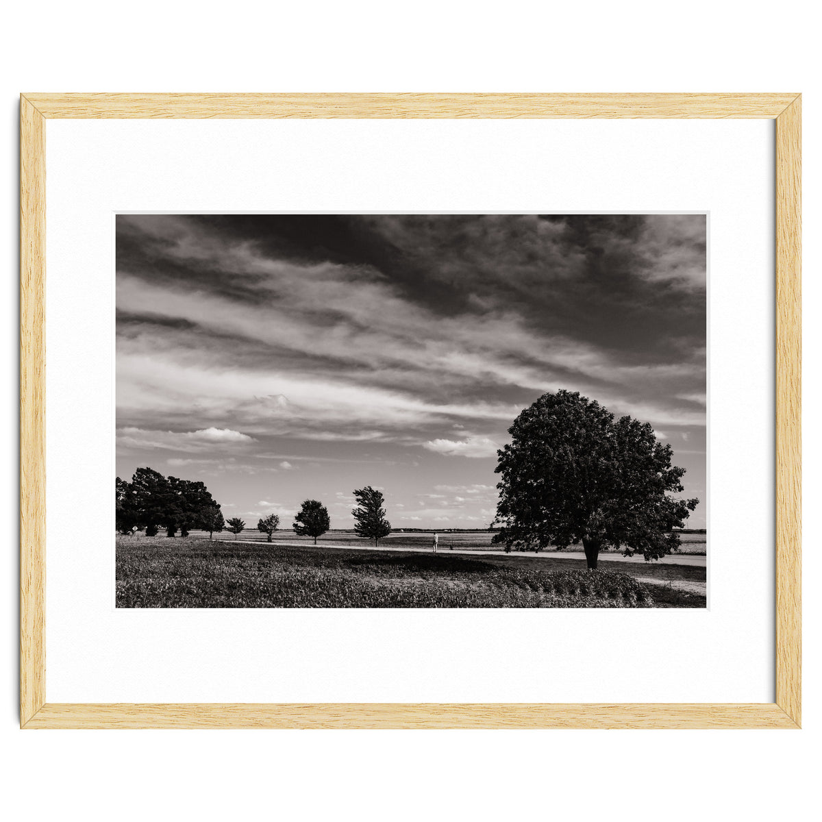 Country Road, Illinois