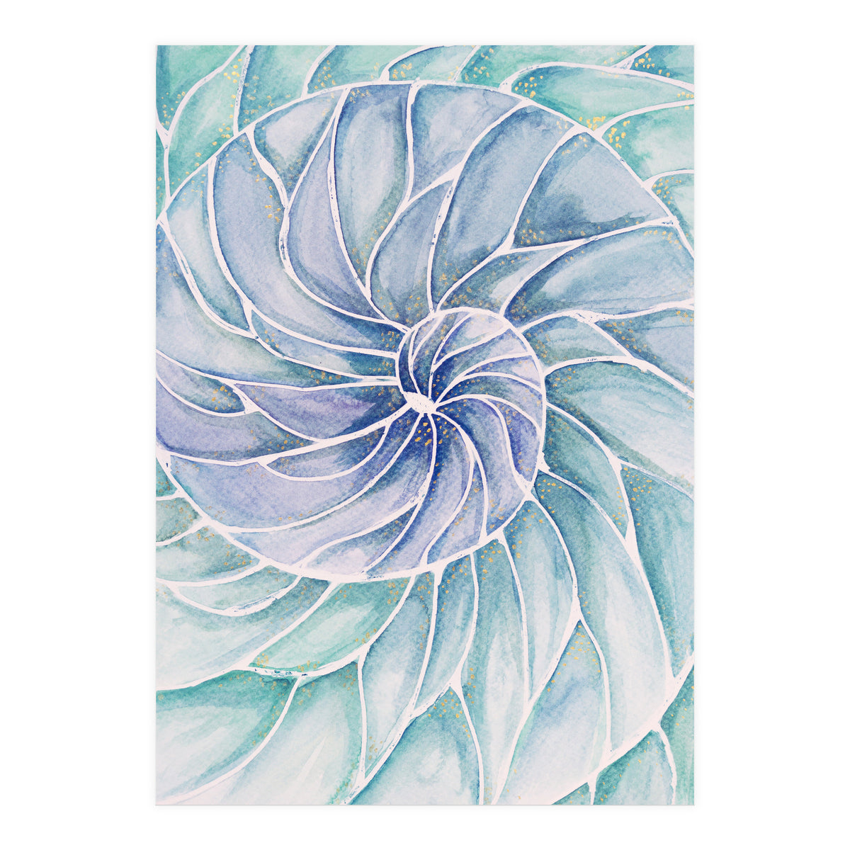 The inside of a shell (Print Only)