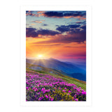 Nature (Print Only) thumbnail