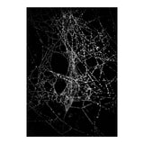 Spiderweb No 4 (Print Only) thumbnail