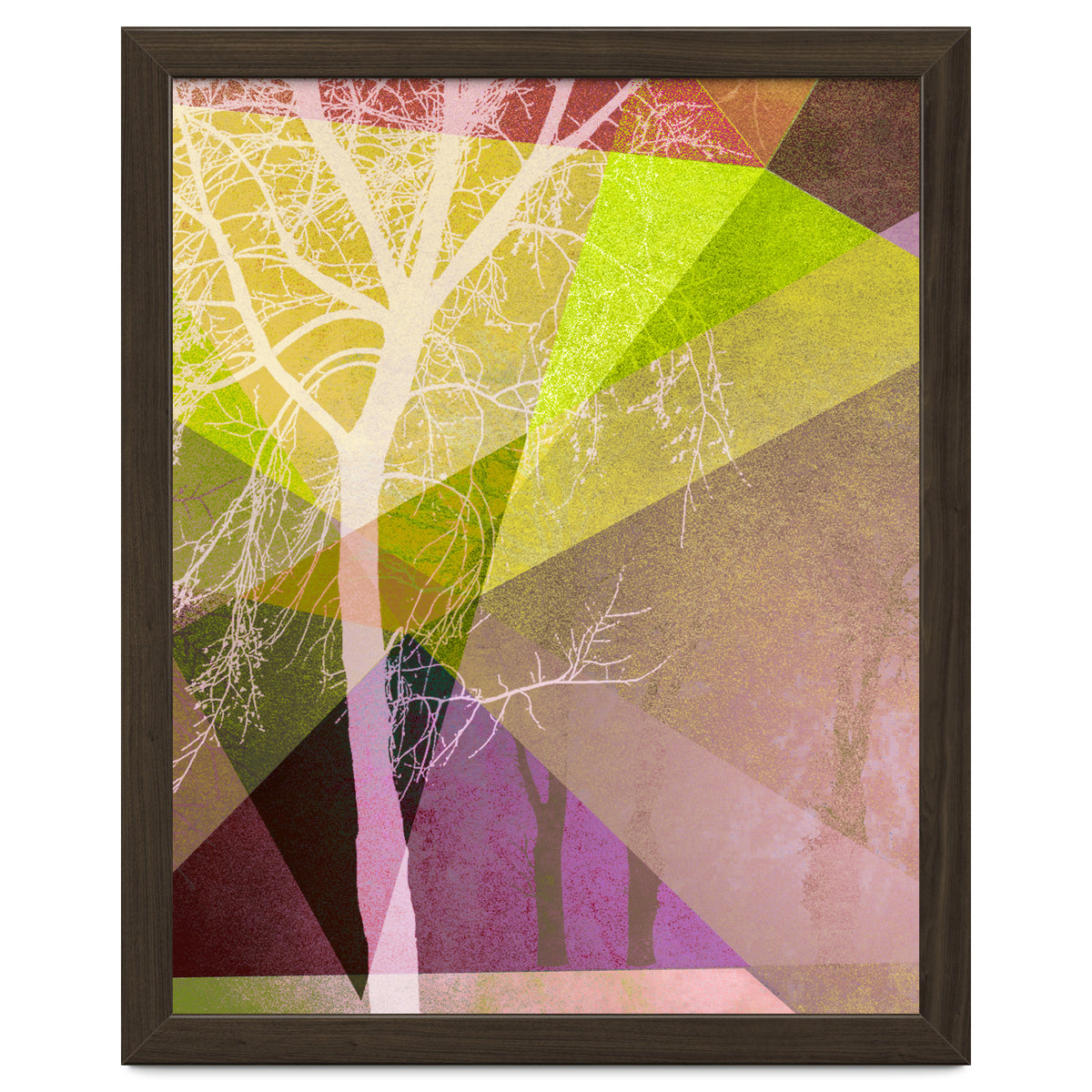 P22 Trees And Triangles