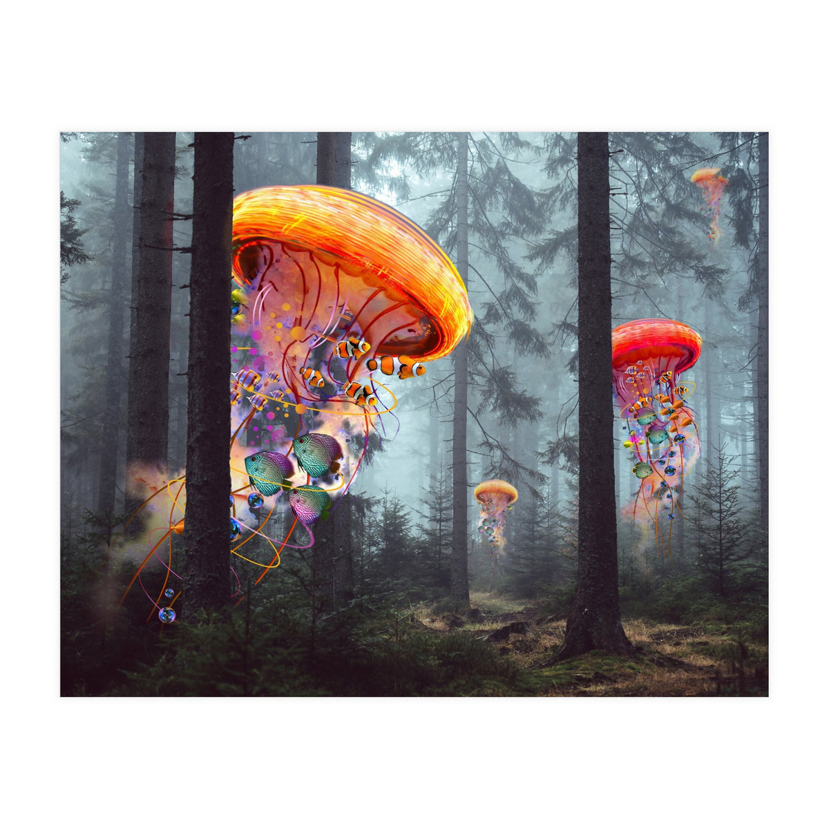 Forest Jellyfish For Print7000 (Print Only)