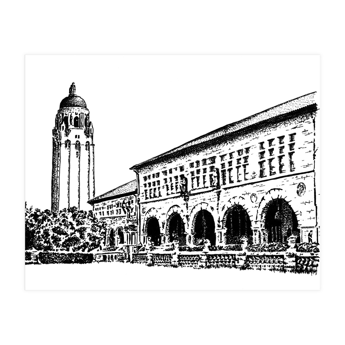 Stanford University (Print Only)