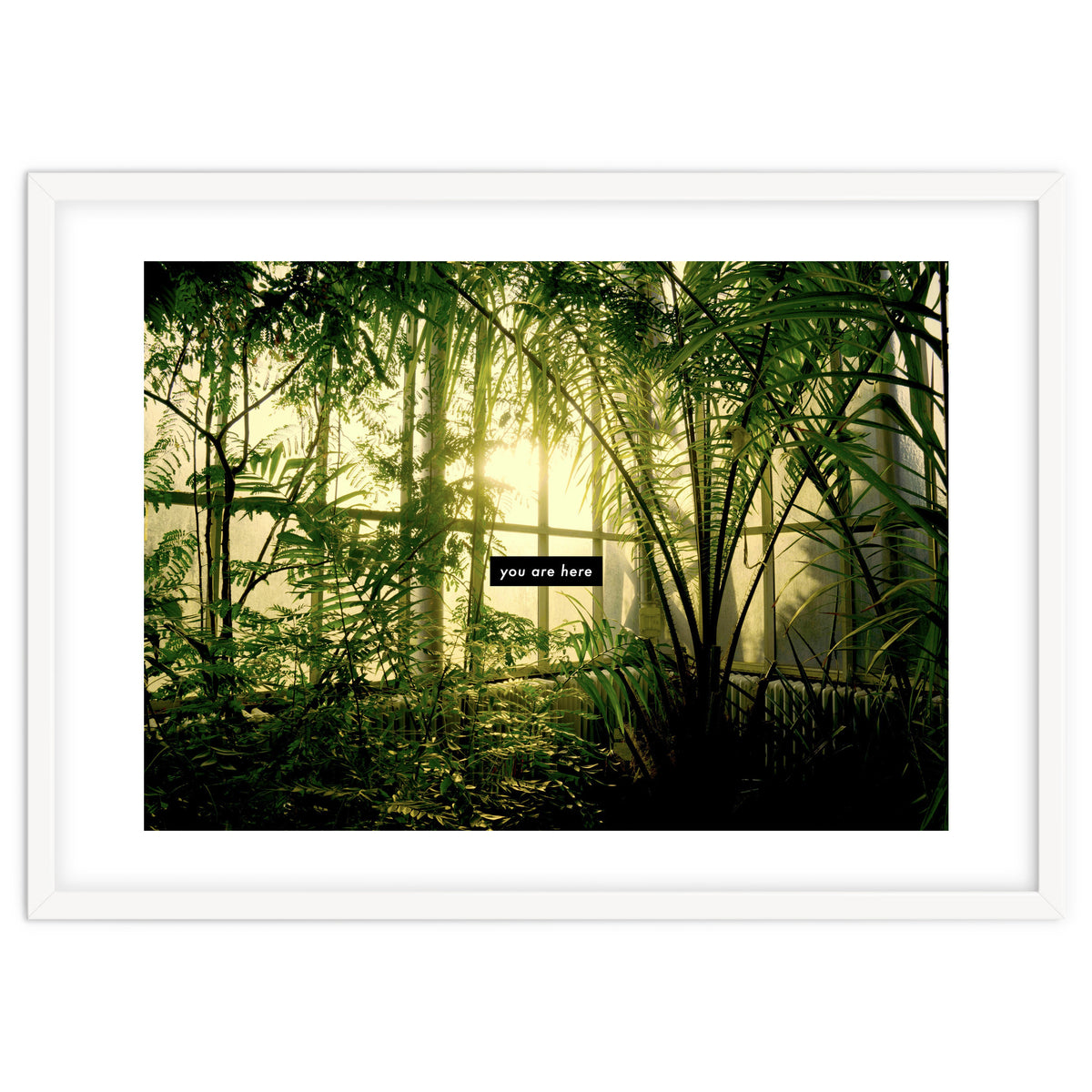 you are here - Nature Photography -