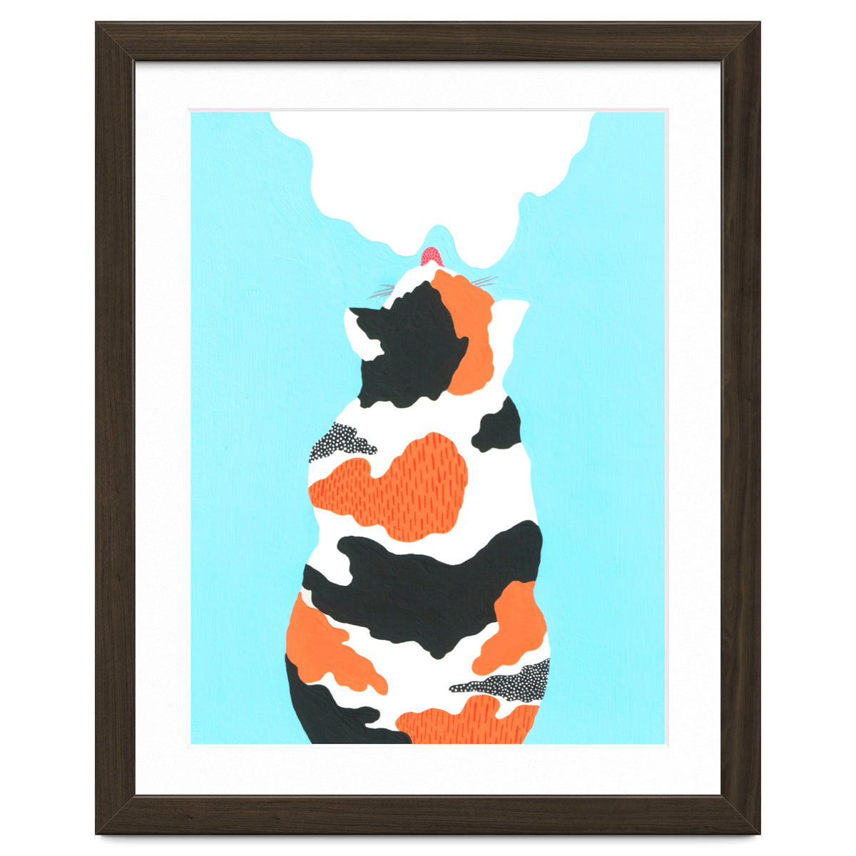 Tri Colored Calico Cat