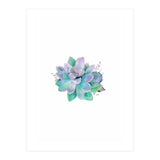 Aqua Succulent (Print Only) thumbnail