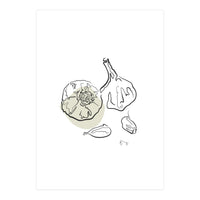 Garlic (Print Only)