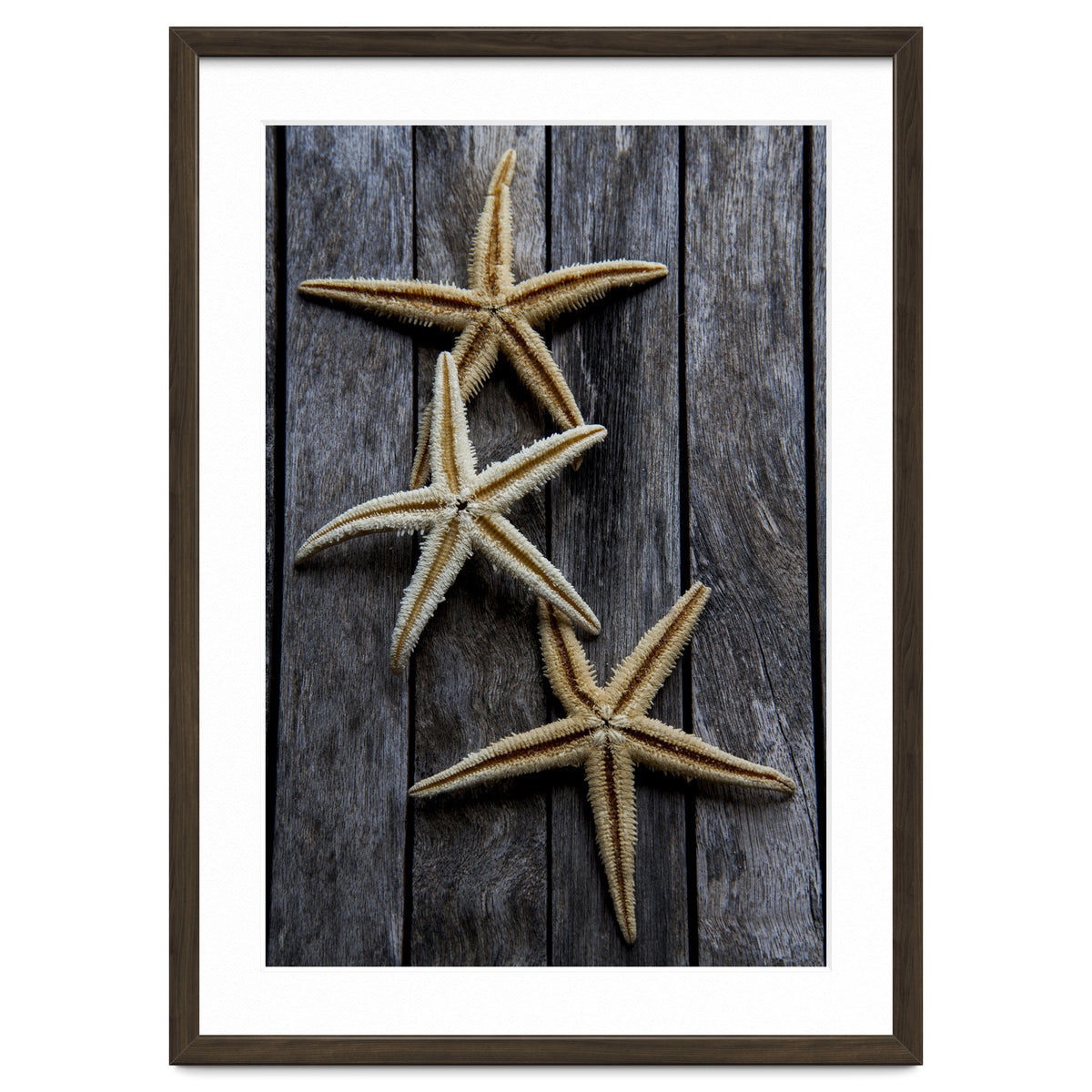 Starfishes in wooden