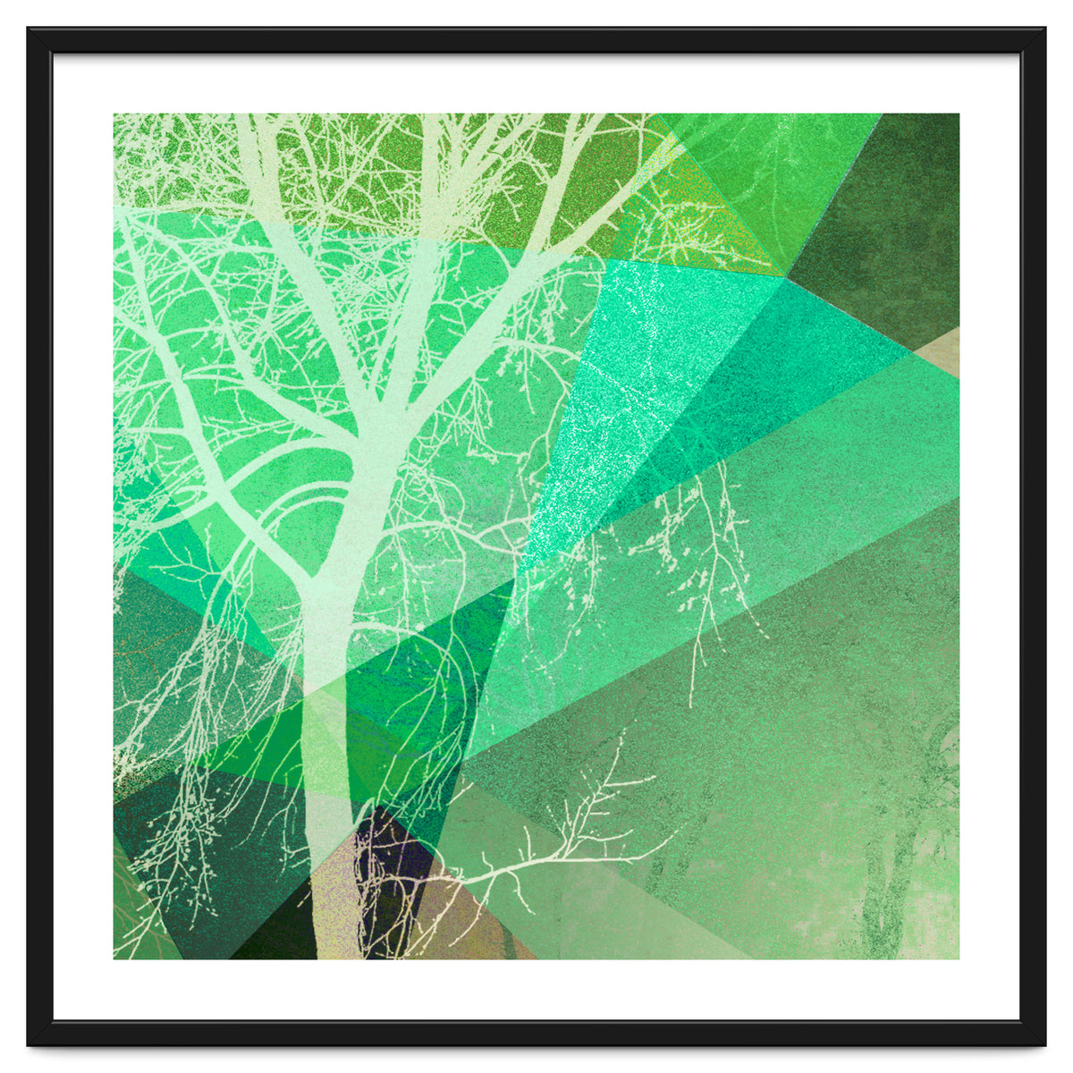 P22-B3 Trees And Triangles