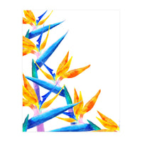 Bird Of Paradise Watercolor (Print Only)