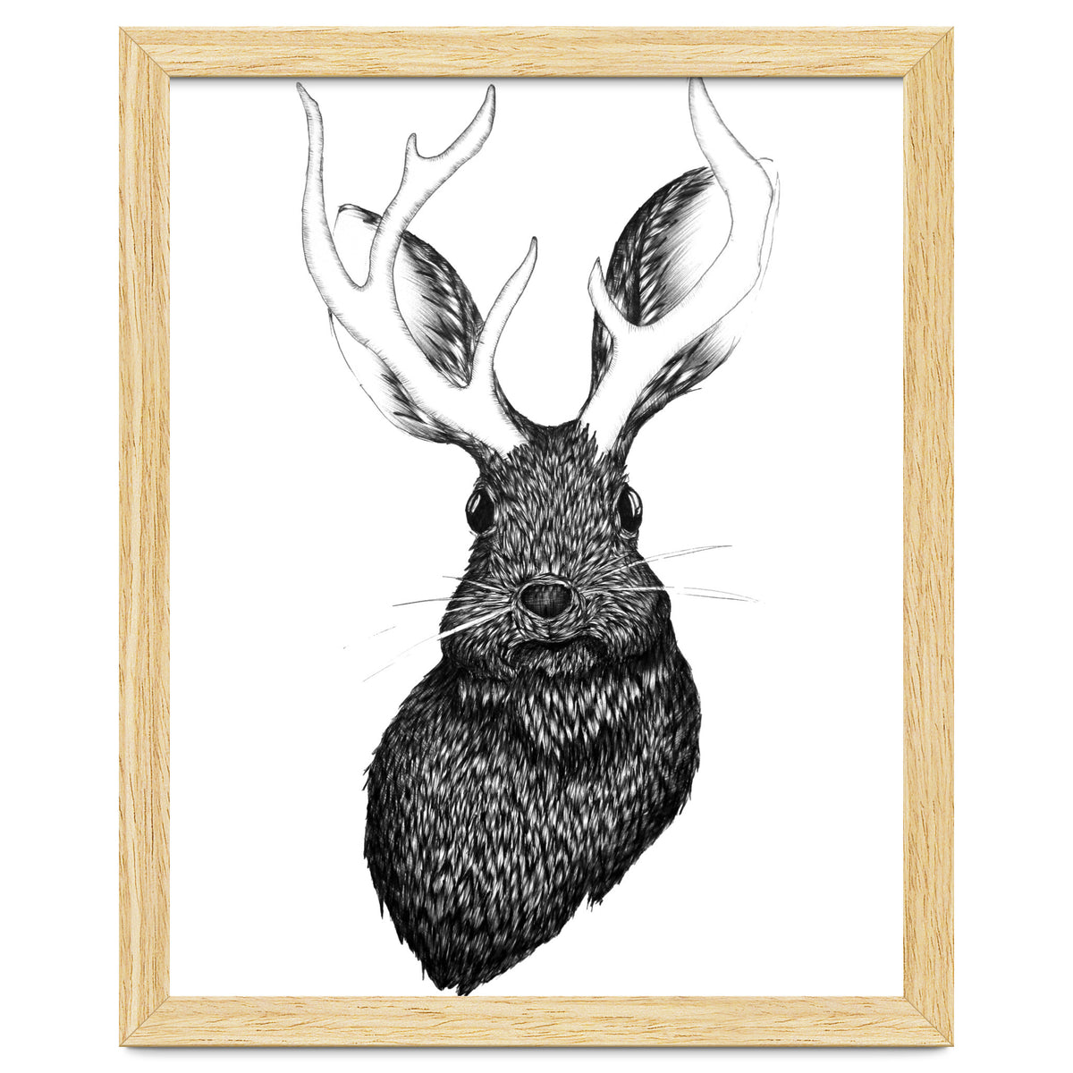 Jackalope