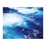43 (Print Only) thumbnail