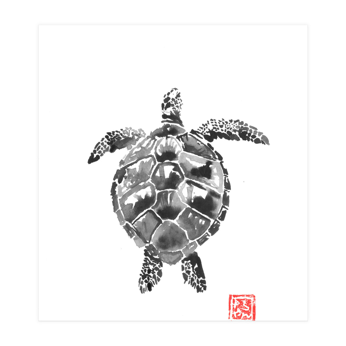 Tartoise (Print Only)