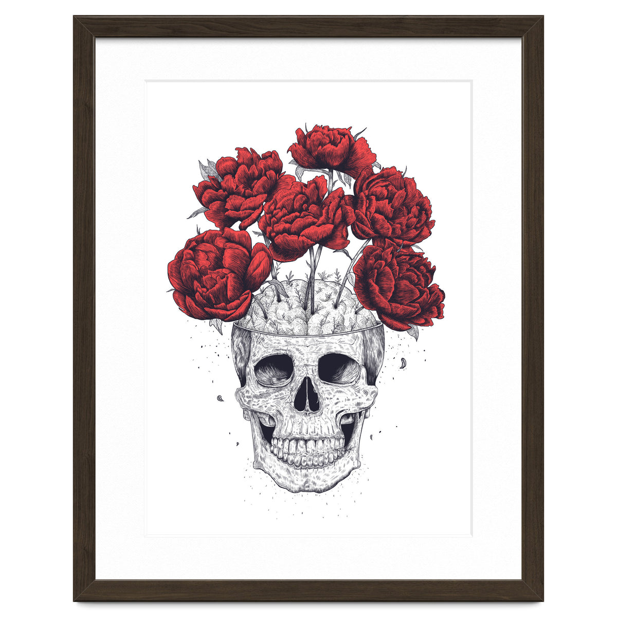 Skull With Peonies