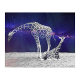 Giraffes on The Moon (Print Only) thumbnail
