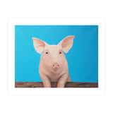 Pig (Print Only) thumbnail