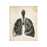 Lungs Anatomy (Print Only) thumbnail