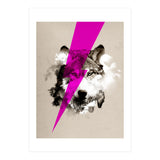 Wolf Rocks (Print Only) thumbnail