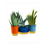 Little Garden (Print Only) thumbnail