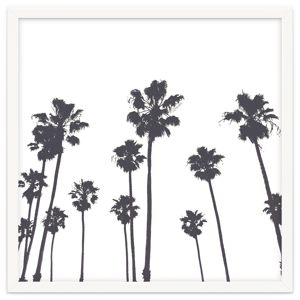 Palms & Sunset-Minimal B&W