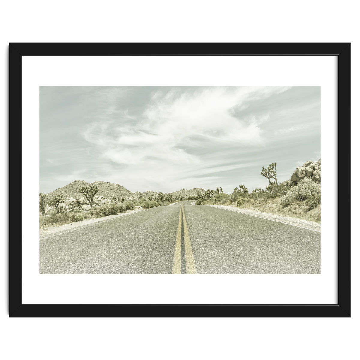 Joshua Trees, Park Boulevard | Vintage
