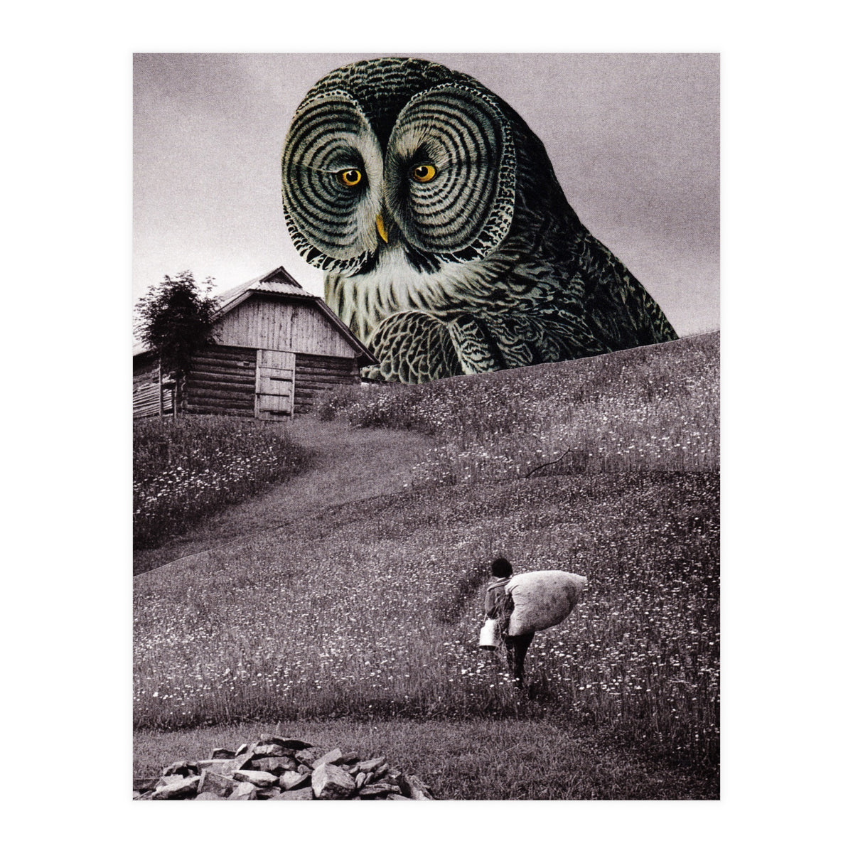 Nocturnal (Print Only)