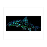 Barbel Fish (Print Only) thumbnail