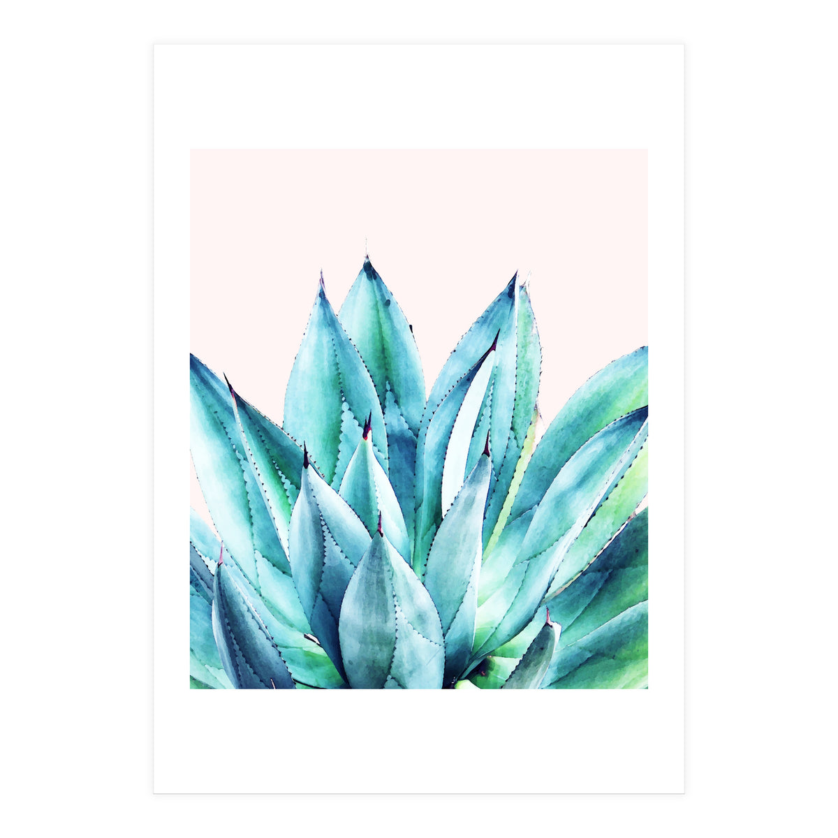 Agave Vibe (Print Only)