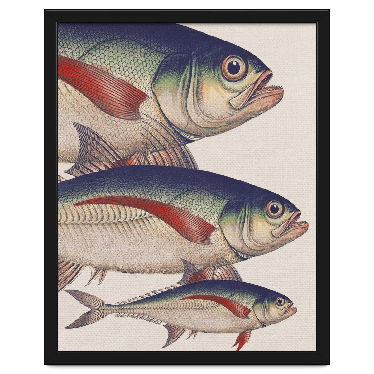 Fish Classic Designs 5