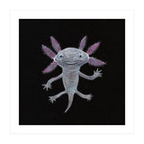 Axolotl (Print Only) thumbnail