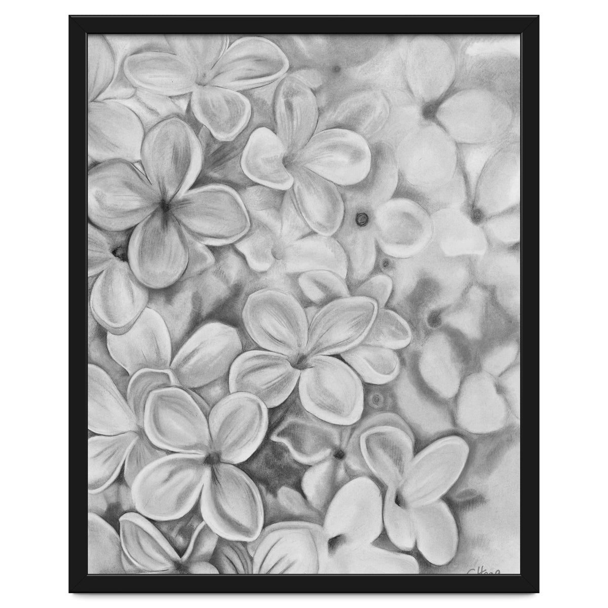 The Essence Of Spring in Monochrome