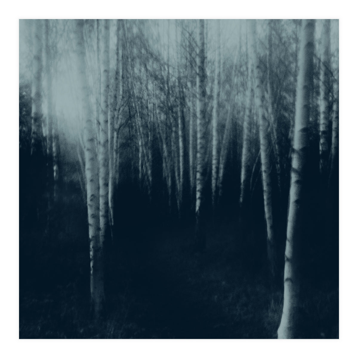 deep veins III (Print Only)