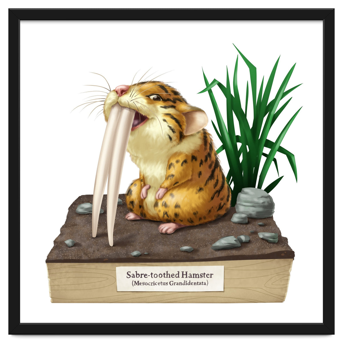 Saber-toothed Hamster