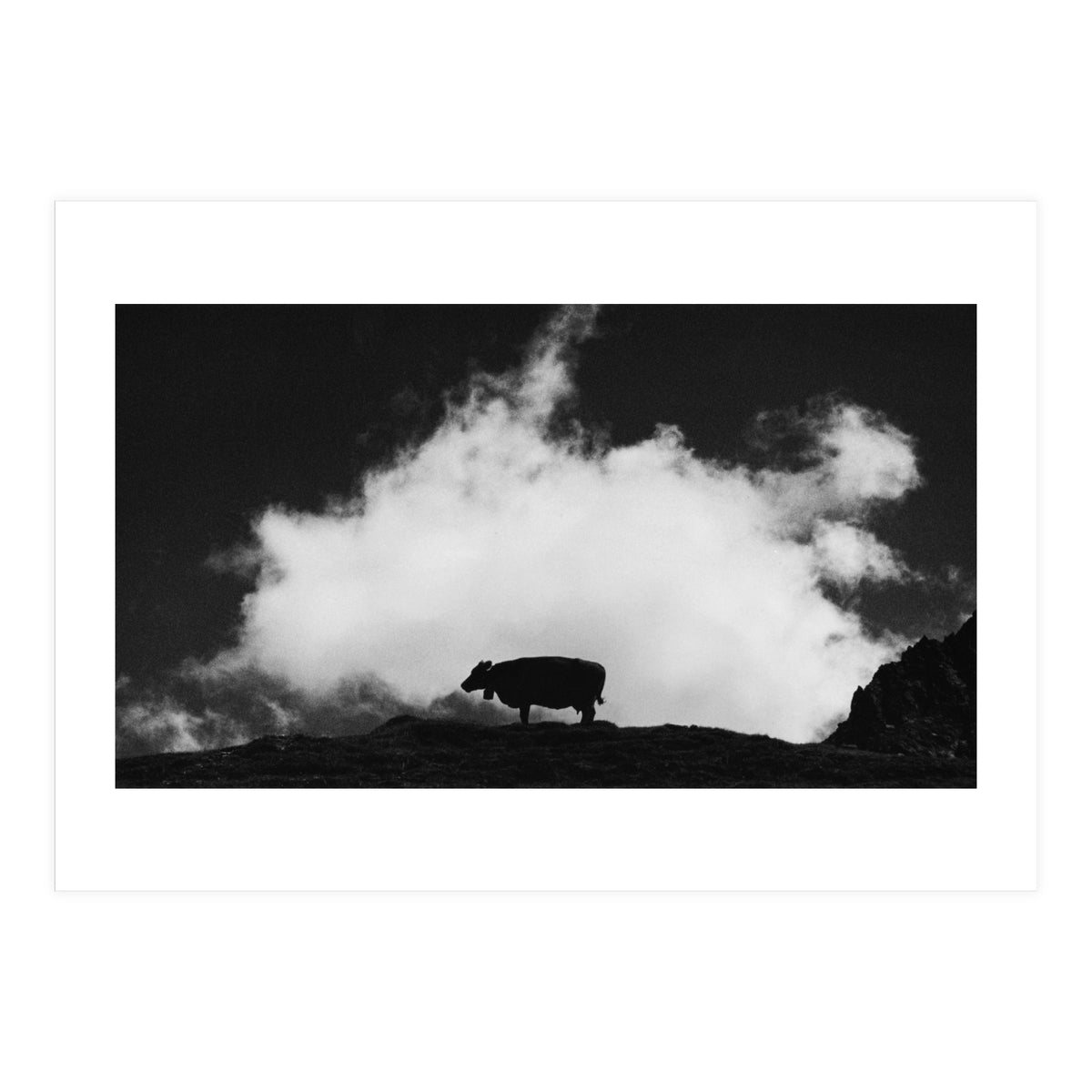 cow and cloud (Print Only)