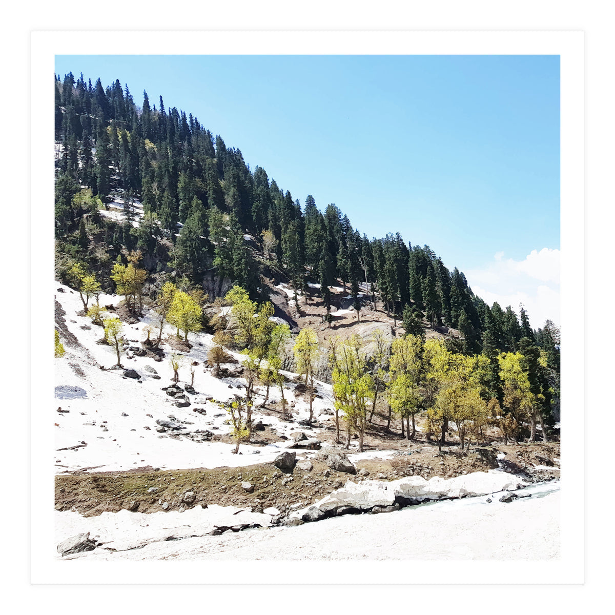 Kashmir V2 (Print Only)