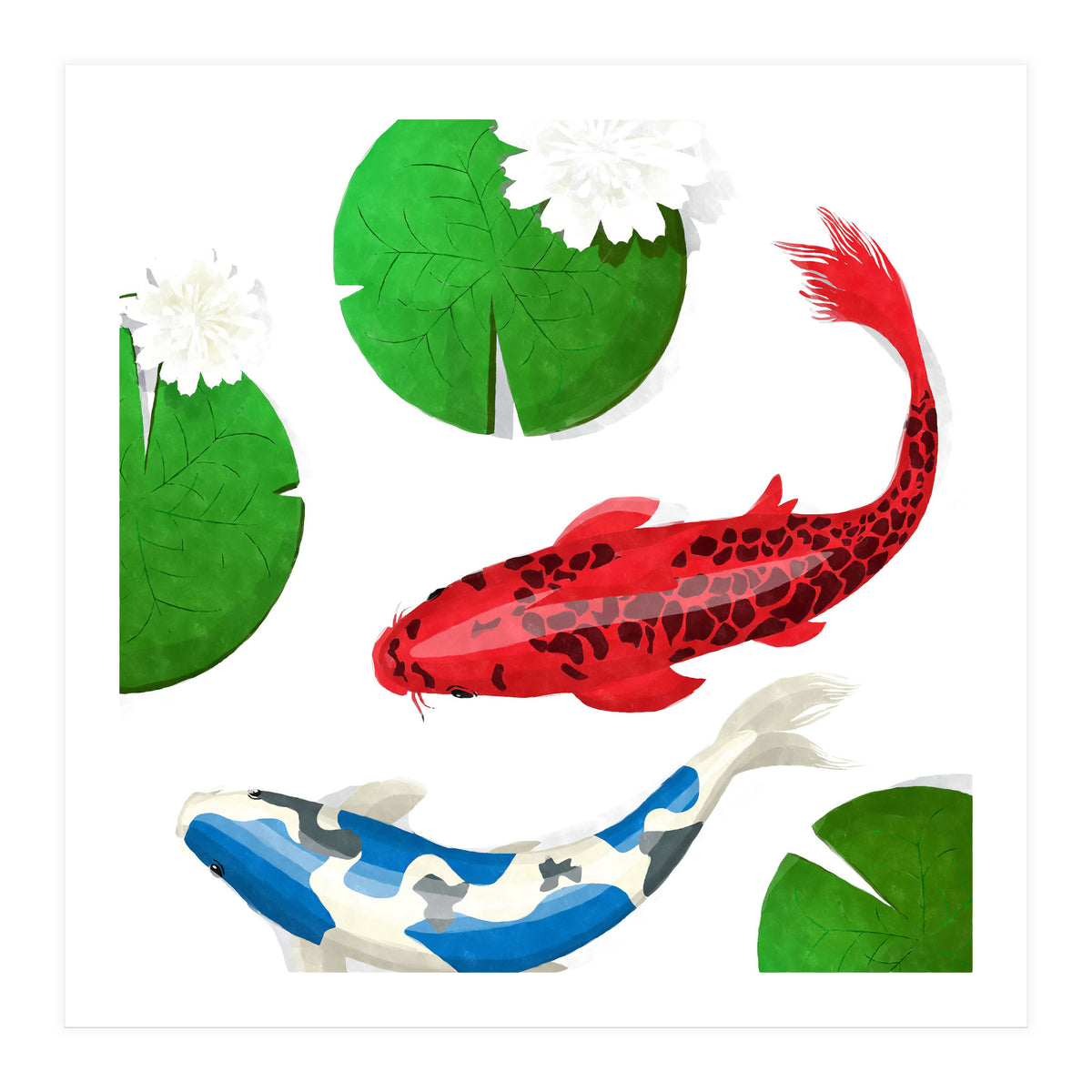 Watercolor Koi Fish And Lotus (Print Only)