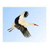 White Stork Bird Low Poly Art (Print Only) thumbnail