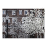 Chelsea Spring  (Print Only) thumbnail