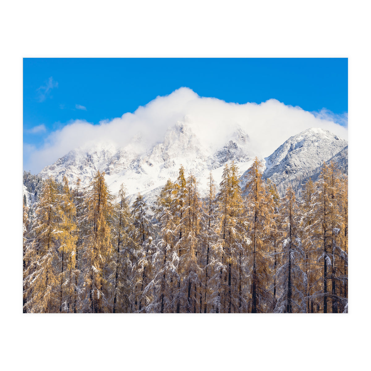 Cloudy Crown (Print Only)