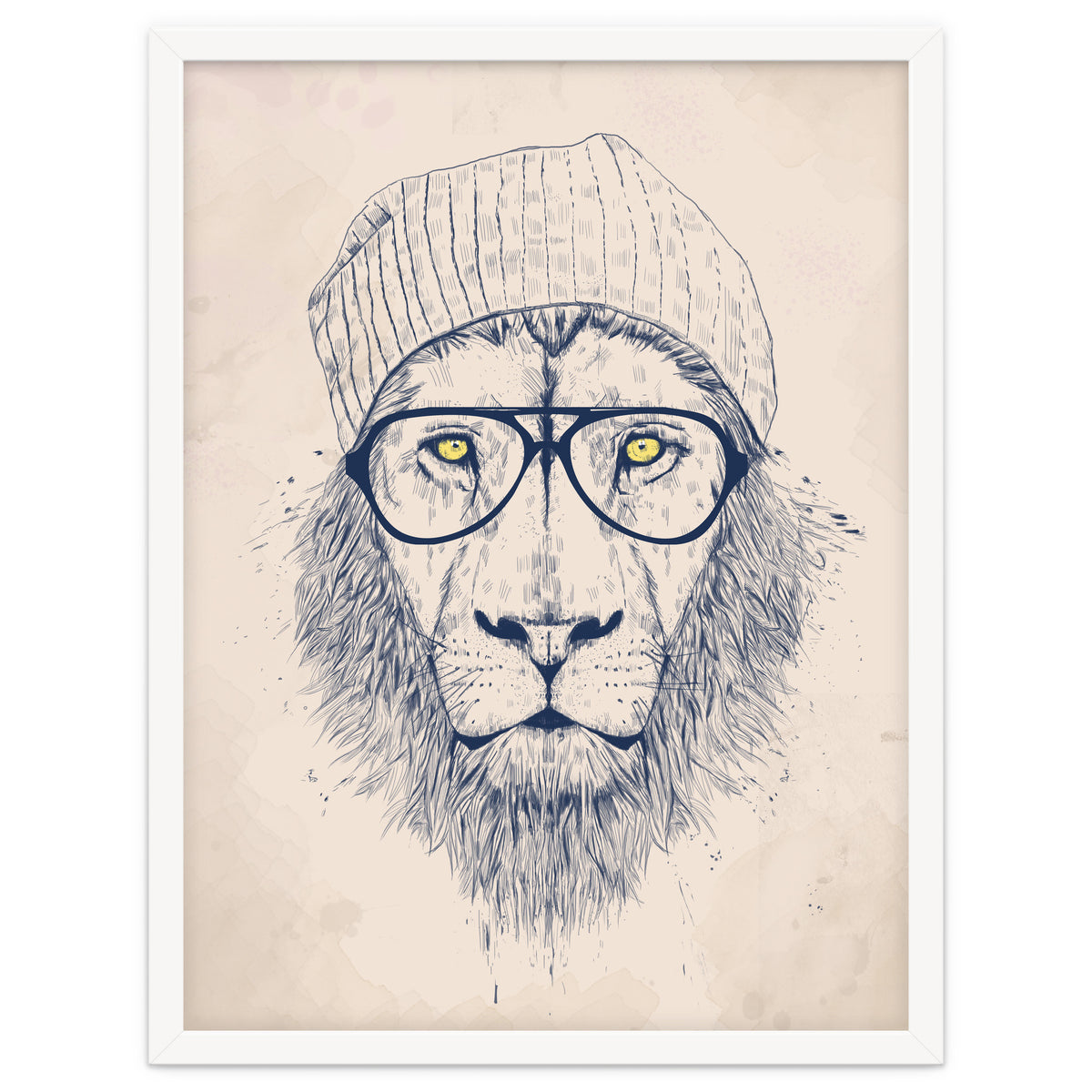 Cool Lion