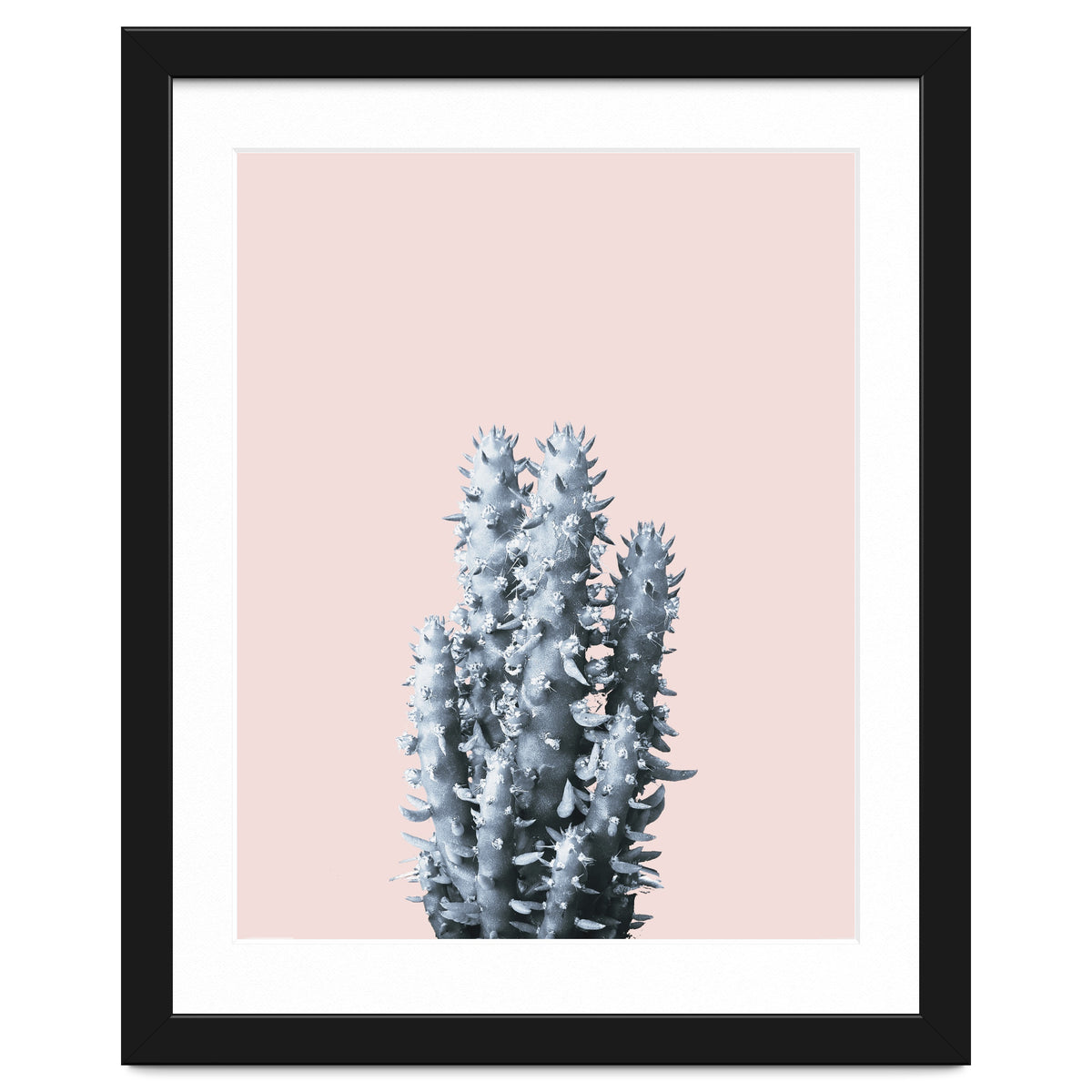 Cactus collection BL-III