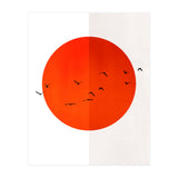 Seagulls Of The Sun (Print Only) thumbnail