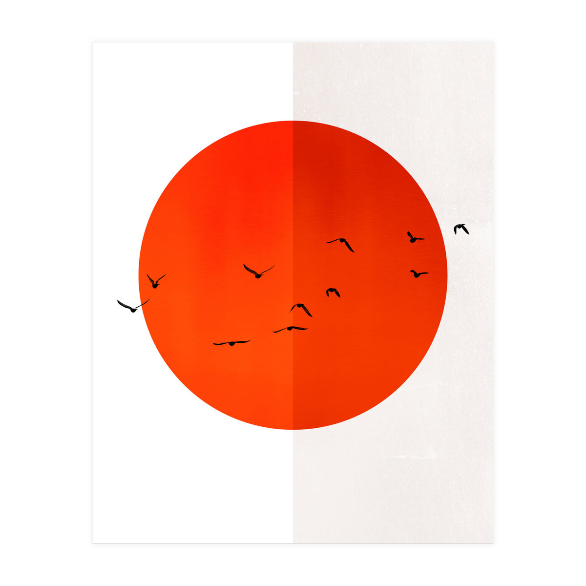 Seagulls Of The Sun (Print Only)