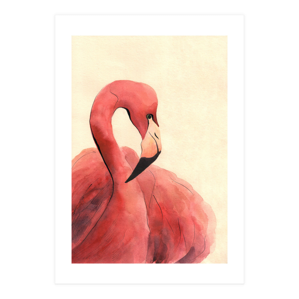 Flamingo (Print Only)