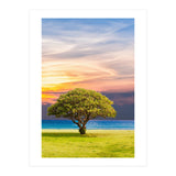 TREE with Great SKY (Print Only) thumbnail
