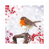 Winter robin (Print Only) thumbnail