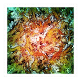 The Natural Light (Print Only) thumbnail